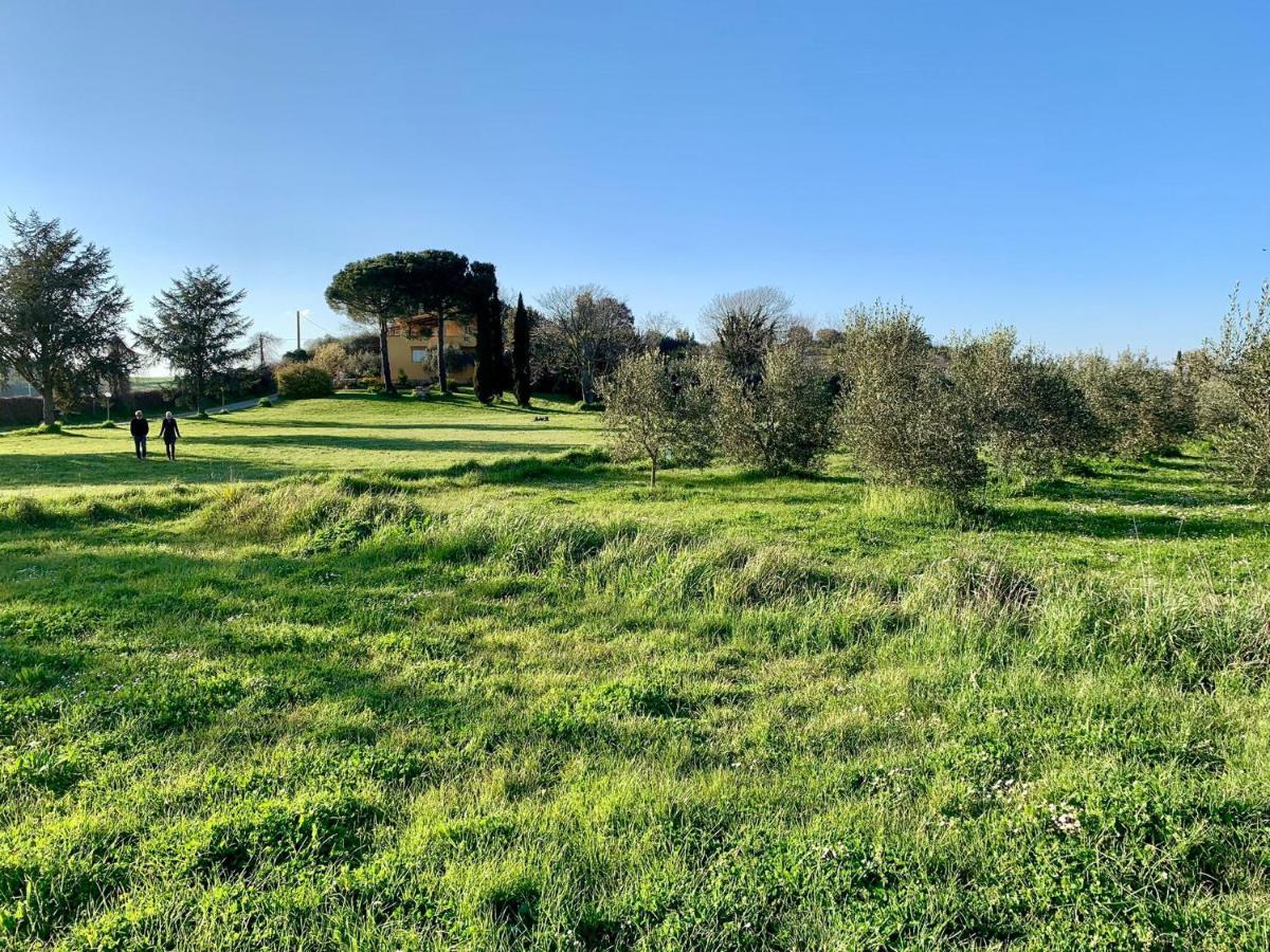 Il Casale Di Gardenia Bed & Breakfast Cesano Bagian luar foto